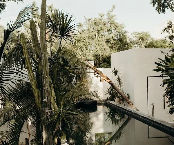 16tulum Hotel